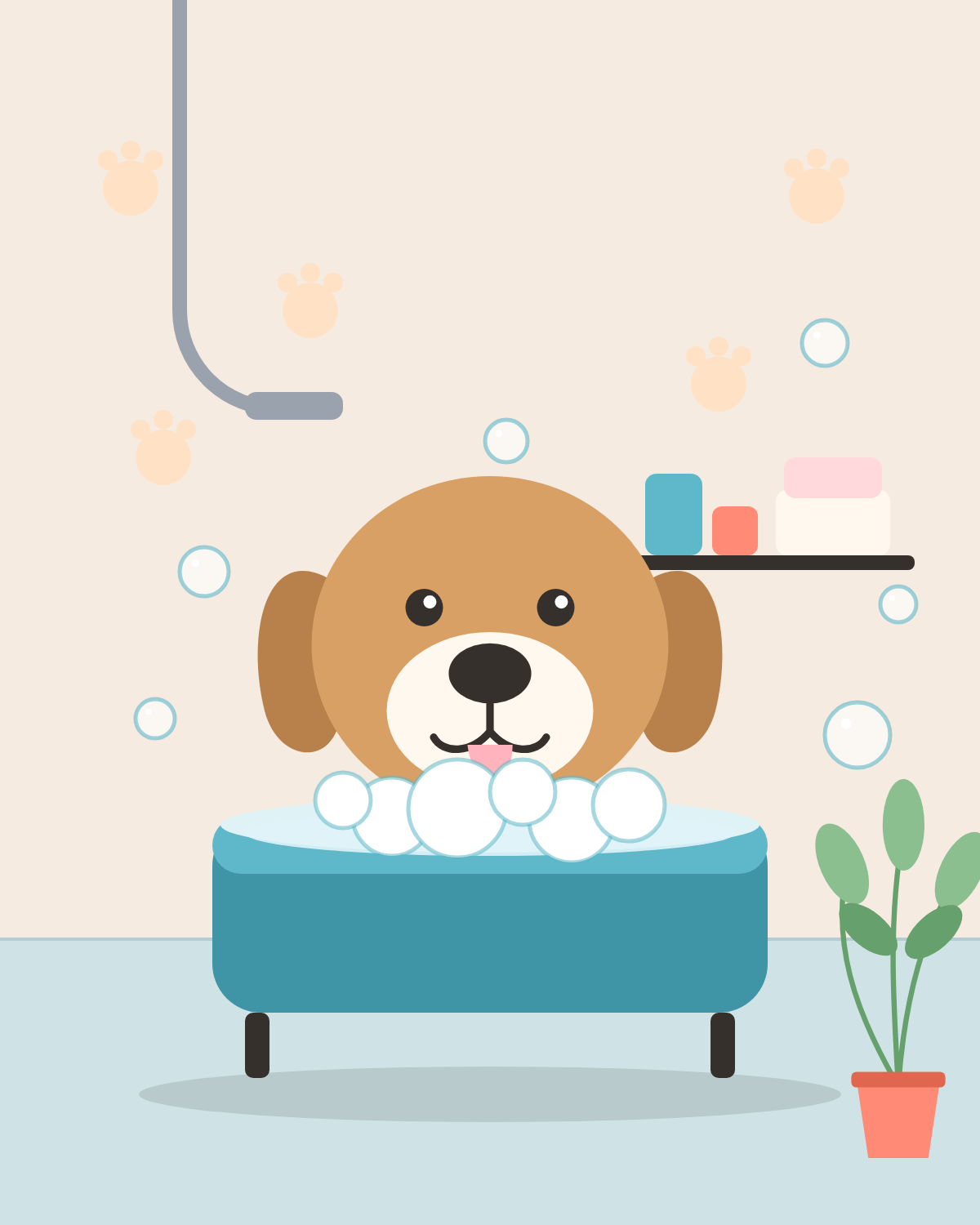 Wag & Whiskers Grooming